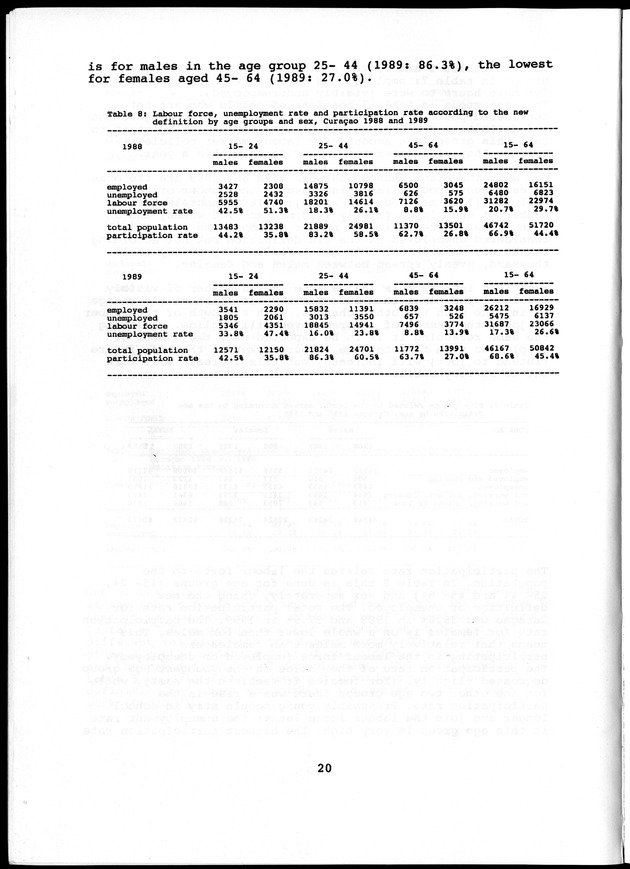 Labour force Surveys Netherlands Antilles 1988 and 1989 - Page 20