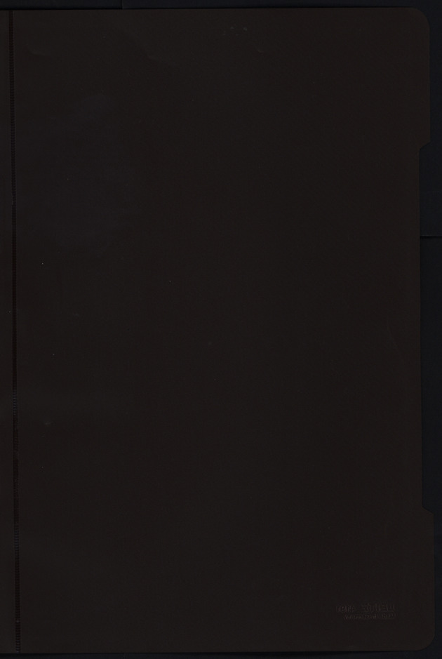 Slachtofferonderzoek Bonaire en Curacao 1995 - Blank Page