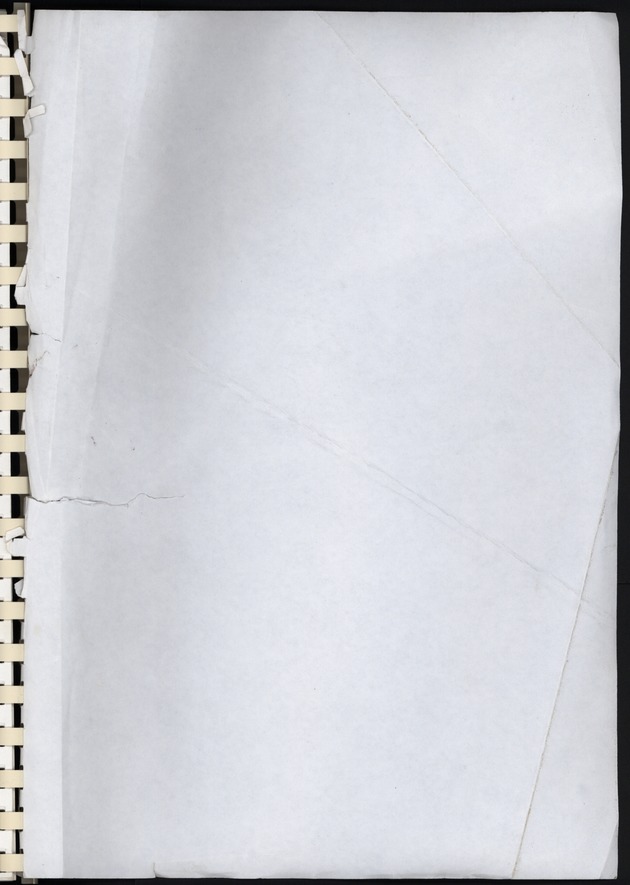 POTOSO,onderzoek naar participatie aan sport/cultuur,uitgaand toerisme en slachtofferschap van criminaliteit - Blank Page