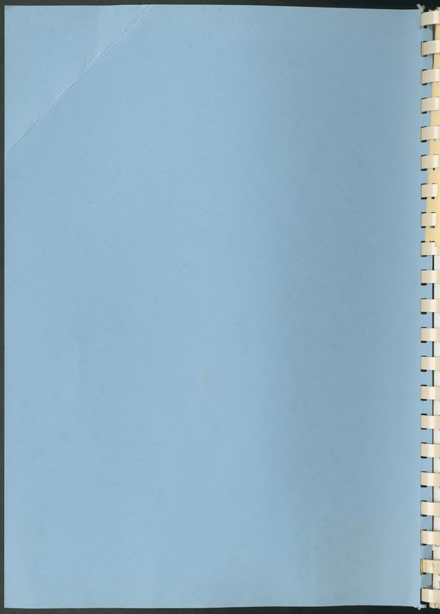 BudgetOnderzoek 1981, Consumptiepatronen 1981 - Blank Page