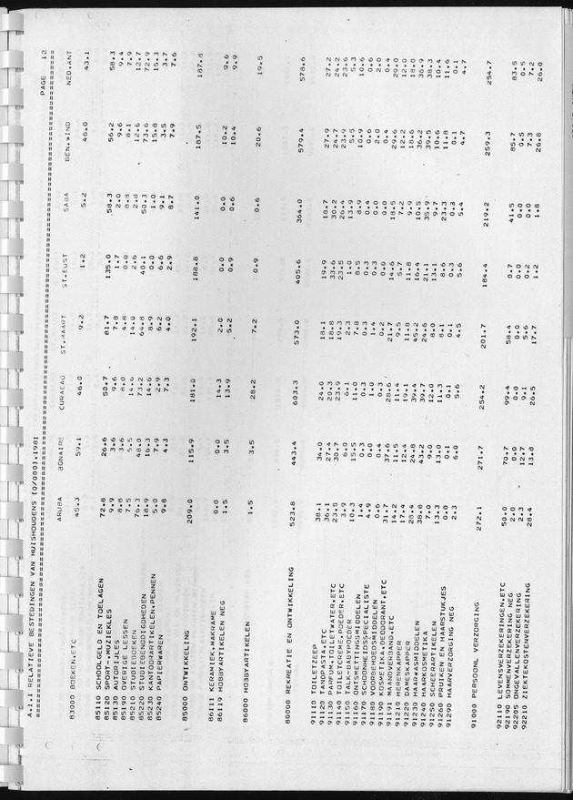 BudgetOnderzoek 1981, Consumptiepatronen 1981 - Page 25