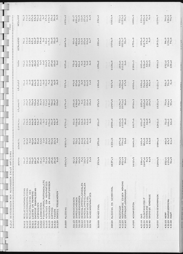 BudgetOnderzoek 1981, Consumptiepatronen 1981 - Page 99