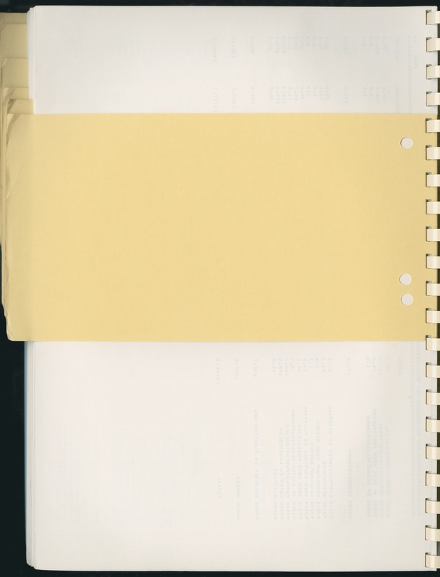 BudgetOnderzoek 1981, Consumptiepatronen 1981 - Blank Page