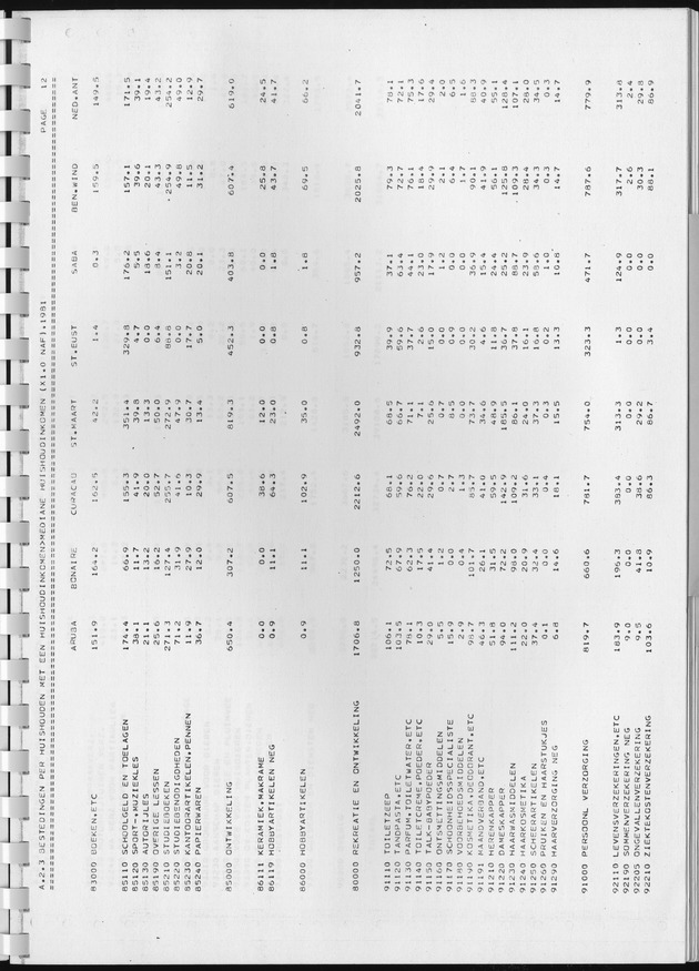 BudgetOnderzoek 1981, Consumptiepatronen 1981 - Page 165