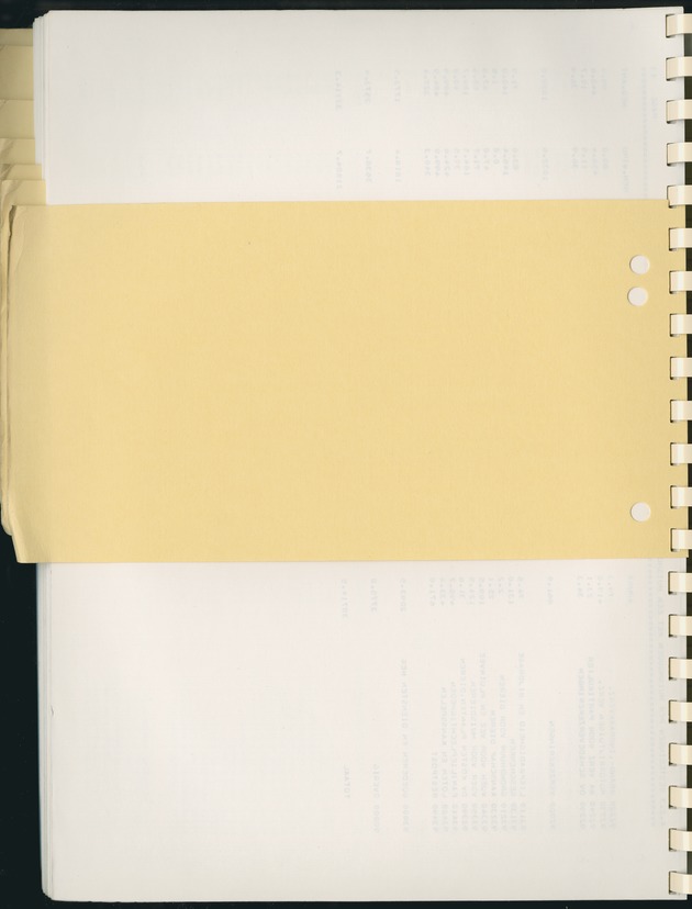 BudgetOnderzoek 1981, Consumptiepatronen 1981 - Blank Page