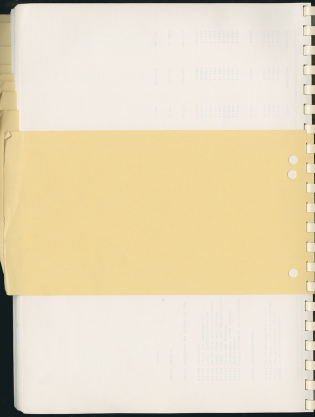 BudgetOnderzoek 1981, Consumptiepatronen 1981 - Blank Page