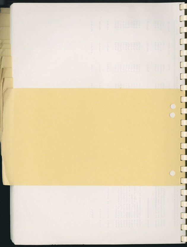 BudgetOnderzoek 1981, Consumptiepatronen 1981 - Blank Page