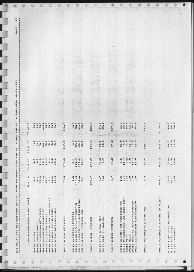 BudgetOnderzoek 1981, Consumptiepatronen 1981 - Page 273