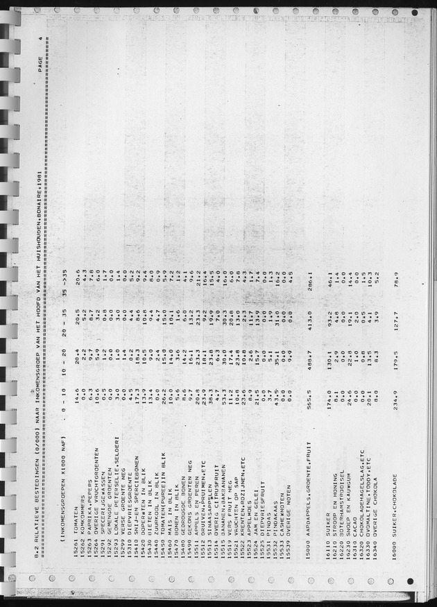 BudgetOnderzoek 1981, Consumptiepatronen 1981 - Page 291