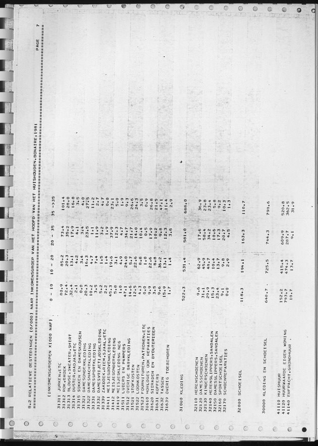 BudgetOnderzoek 1981, Consumptiepatronen 1981 - Page 297