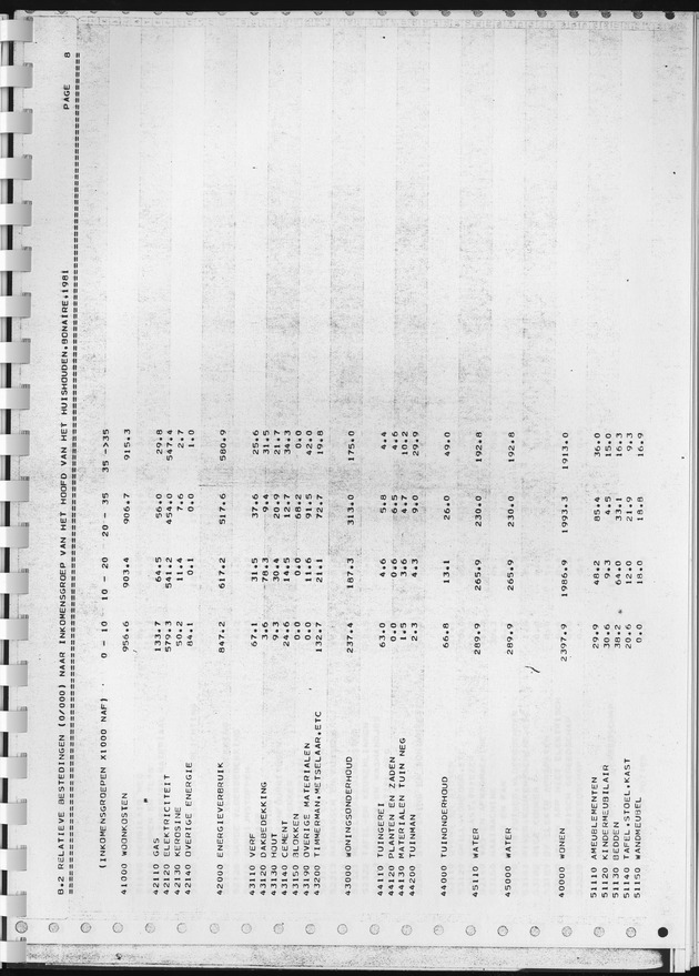 BudgetOnderzoek 1981, Consumptiepatronen 1981 - Page 299