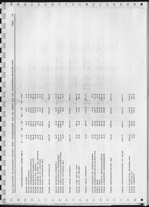 BudgetOnderzoek 1981, Consumptiepatronen 1981 - Page 303