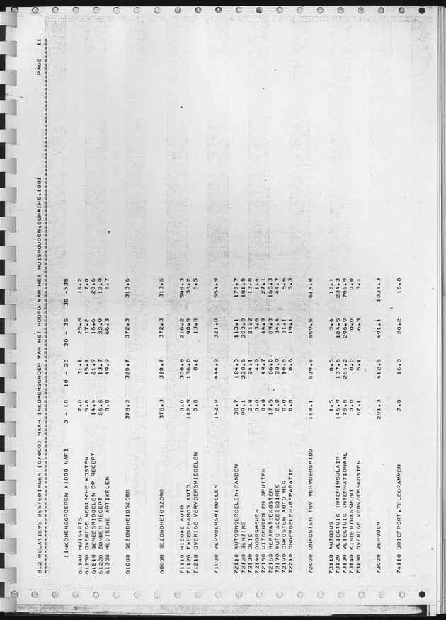 BudgetOnderzoek 1981, Consumptiepatronen 1981 - Page 305
