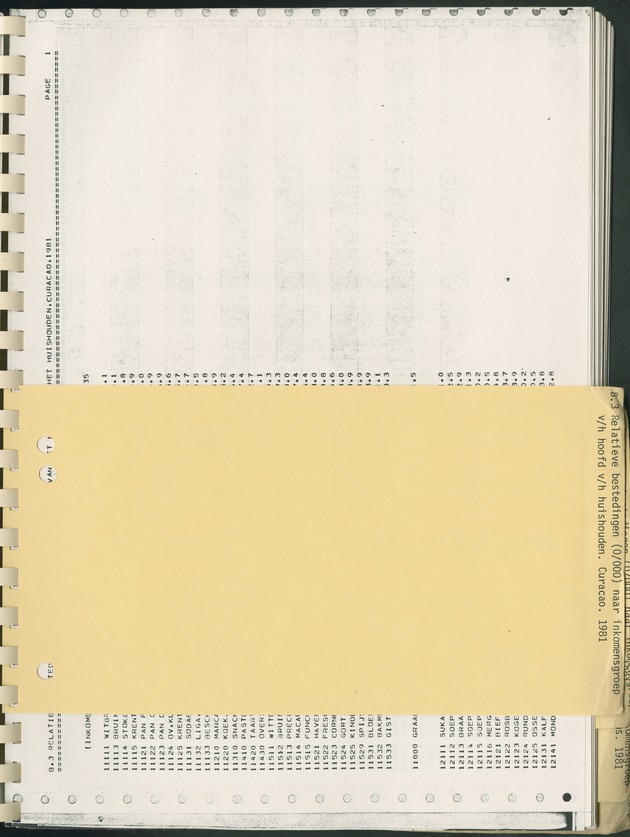 BudgetOnderzoek 1981, Consumptiepatronen 1981 - Page 313