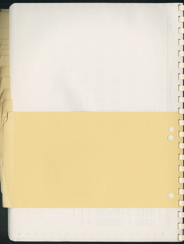 BudgetOnderzoek 1981, Consumptiepatronen 1981 - Blank Page