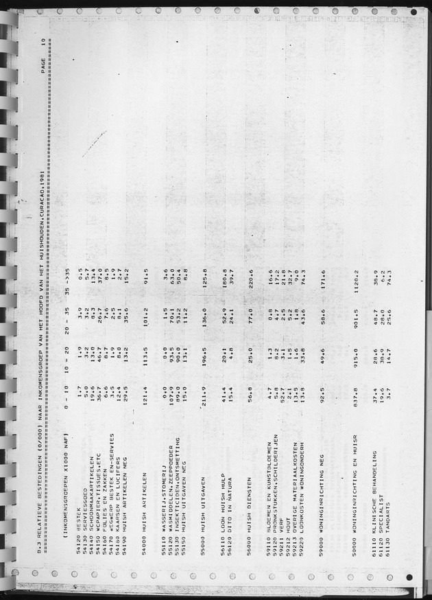 BudgetOnderzoek 1981, Consumptiepatronen 1981 - Page 333