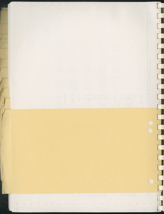 BudgetOnderzoek 1981, Consumptiepatronen 1981 - Blank Page