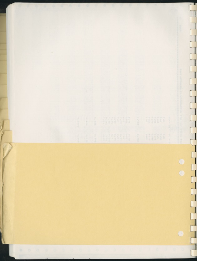 BudgetOnderzoek 1981, Consumptiepatronen 1981 - Blank Page