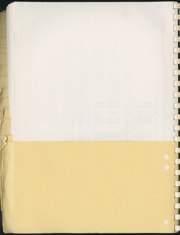 BudgetOnderzoek 1981, Consumptiepatronen 1981 - Blank Page