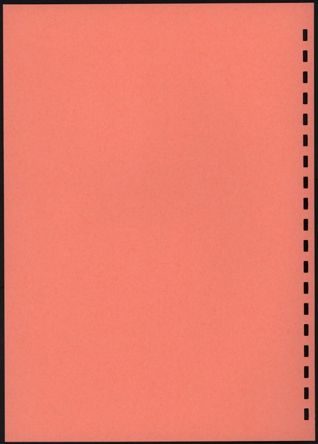 BudgetOnderzoek 1981, 2de Konsept - Blank Page