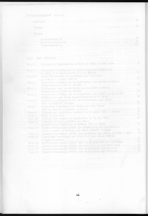 Budgetonderzoek Nederlandse Antillen 1988-89 - Page vi