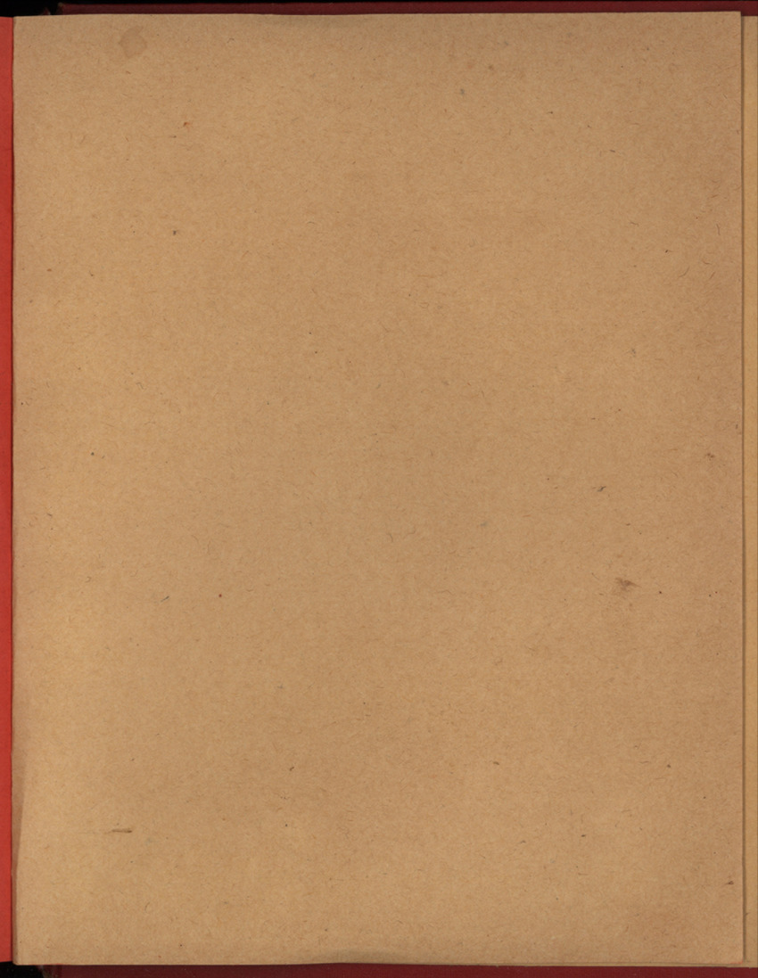 20e Jaargang No.12 - Juni 1973 - New Page