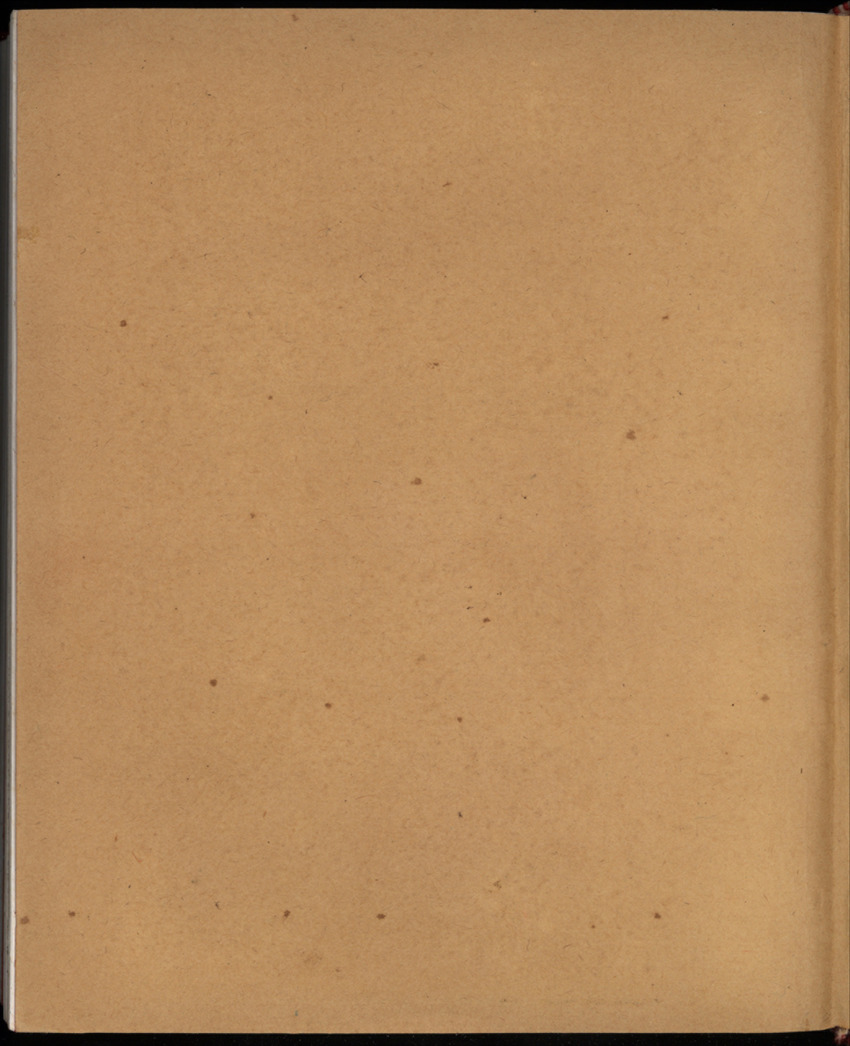 20e Jaargang No.12 - Juni 1973 - New Page