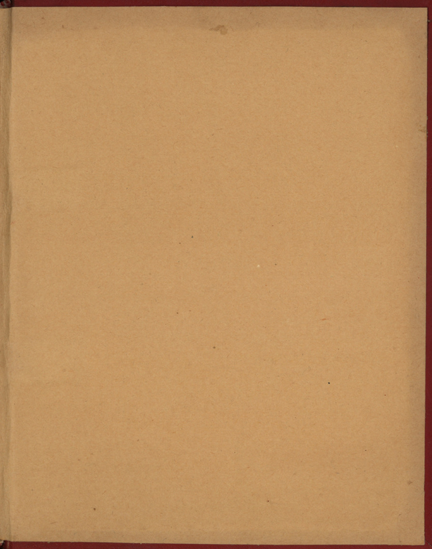 20e Jaargang No.12 - Juni 1973 - New Page