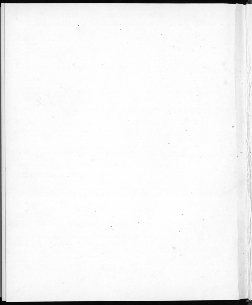 32ste Jaargang No.12 - Juni 1985 - New Page