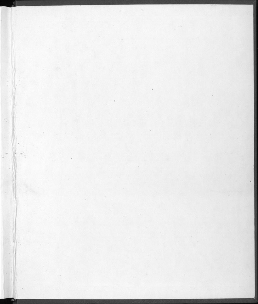 32ste Jaargang No.12 - Juni 1985 - New Page