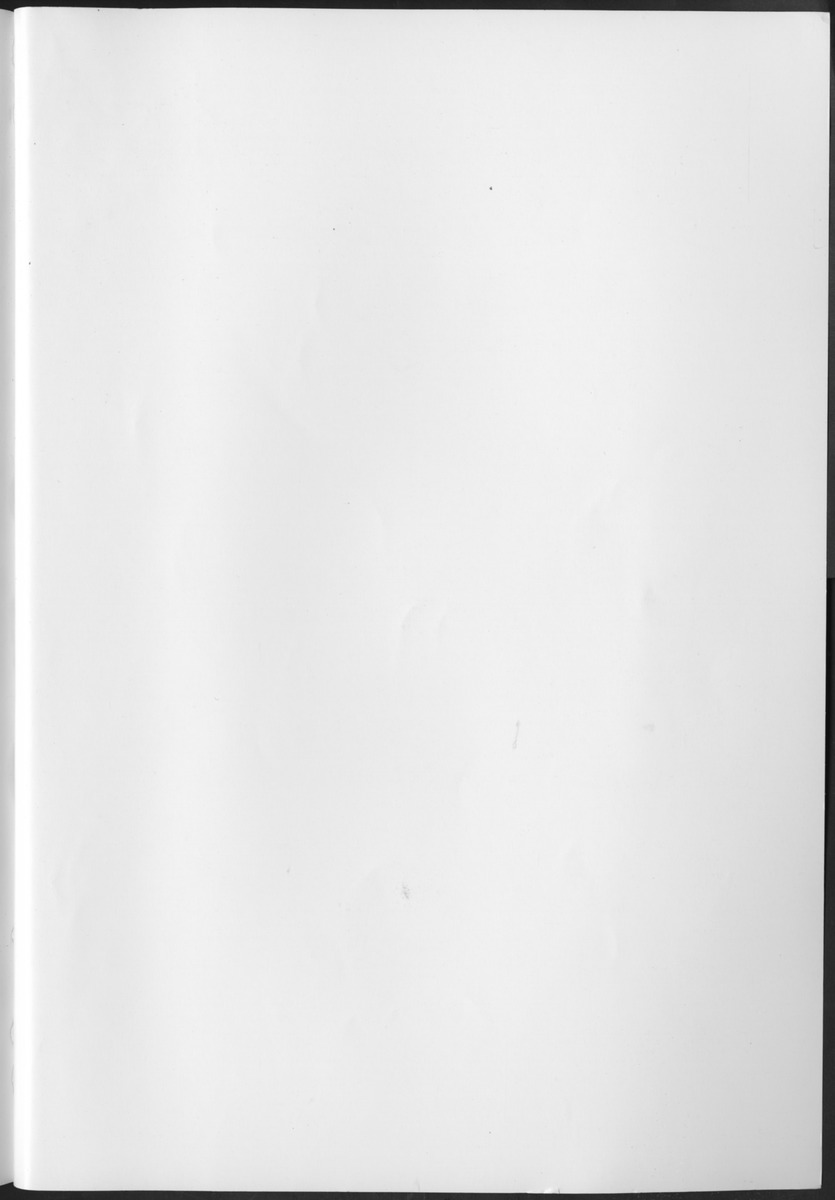 Quarterly Trade Report Nr.1 - 1999 - Blank Page